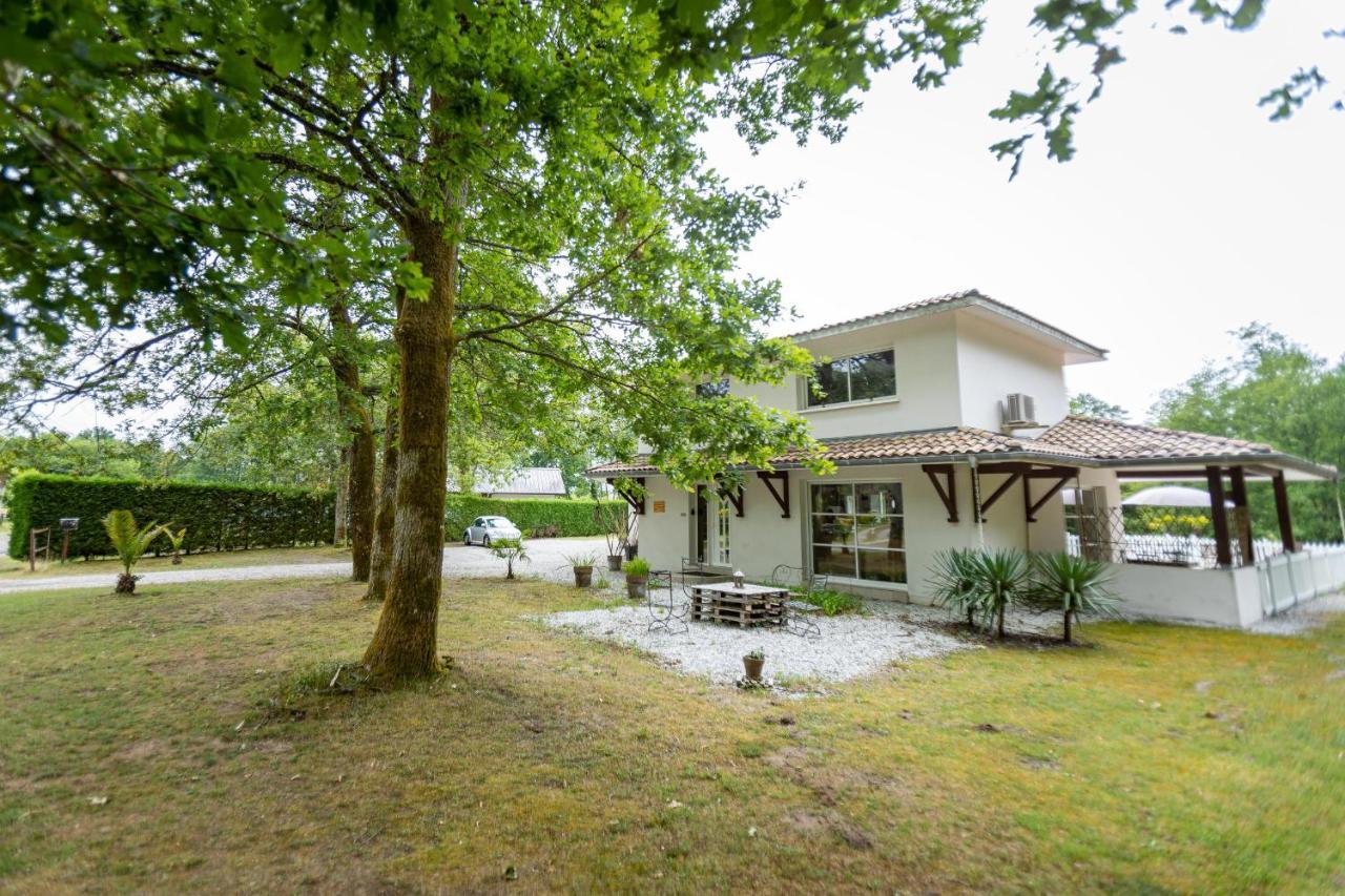 La Villa Minvia Les Landes Entre Mer Et Montagne Saint-Vincent-de-Paul  ภายนอก รูปภาพ