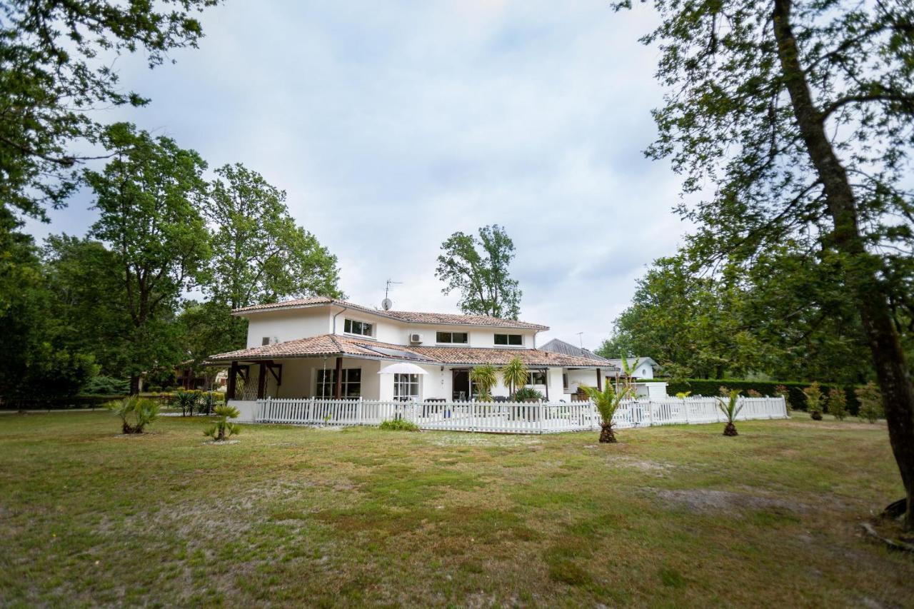 La Villa Minvia Les Landes Entre Mer Et Montagne Saint-Vincent-de-Paul  ภายนอก รูปภาพ