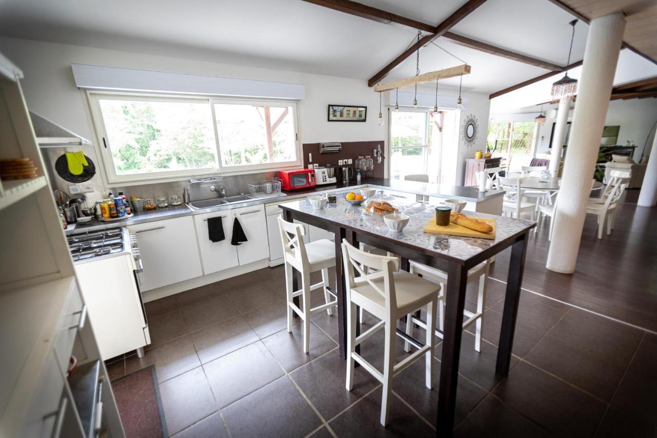 La Villa Minvia Les Landes Entre Mer Et Montagne Saint-Vincent-de-Paul  ภายนอก รูปภาพ